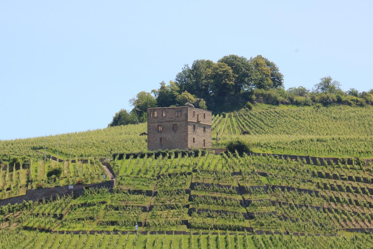 Wandertouren im Remstal
