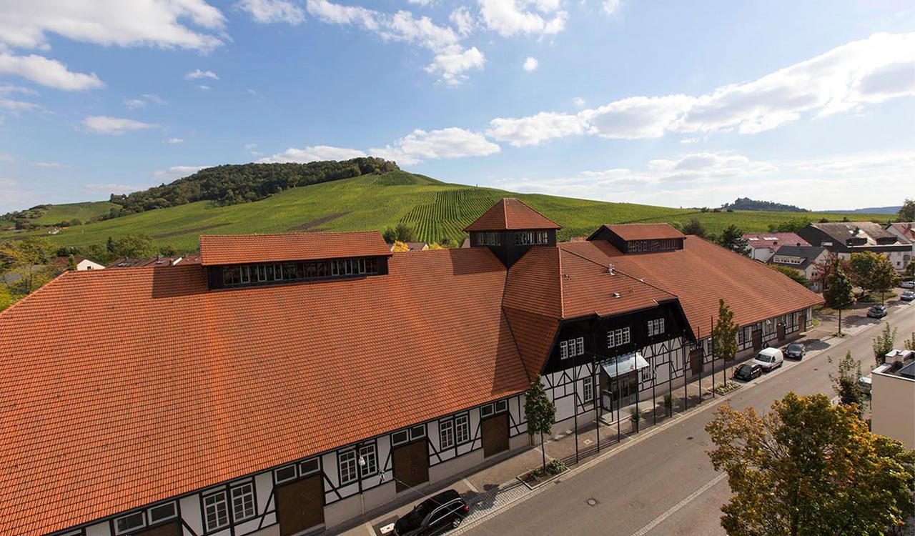 Alte Kelter Fellbach
